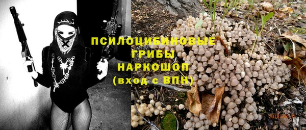 гашик Бугульма