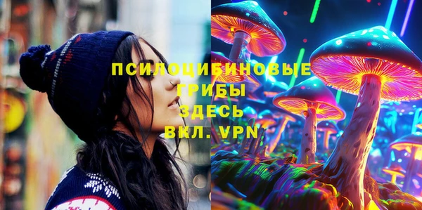 гашик Бугульма