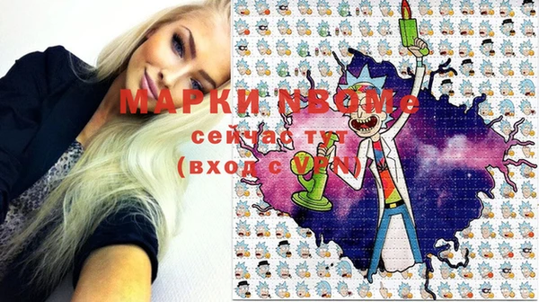 гидра Бронницы