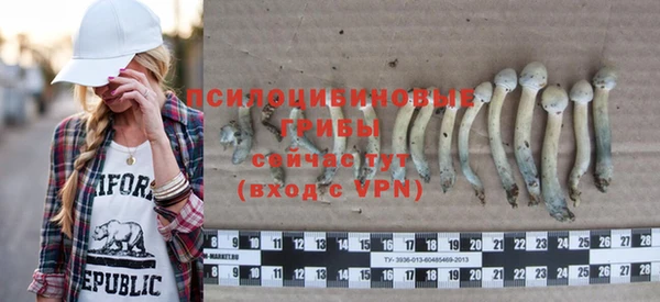 гашик Бугульма