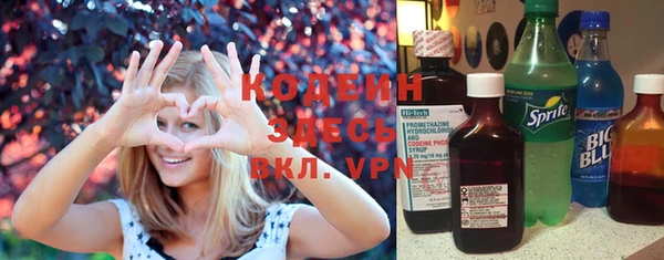 гидра Бронницы