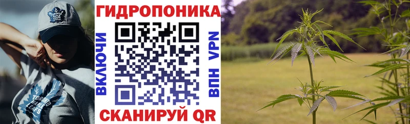 Купить  Спасск-Рязанский  Каннабис SATIVA & INDICA 